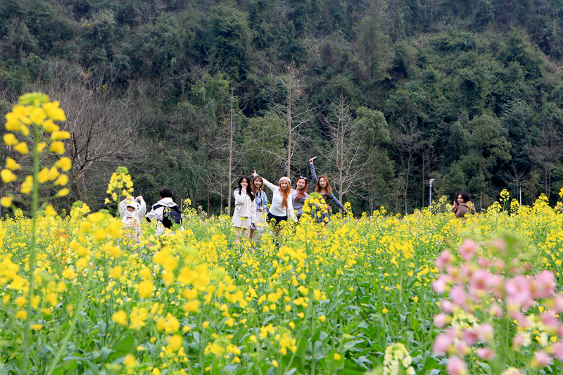 張家界黃龍洞景區(qū)：踏春賞花歡度“三八”婦女節(jié)（組圖）
